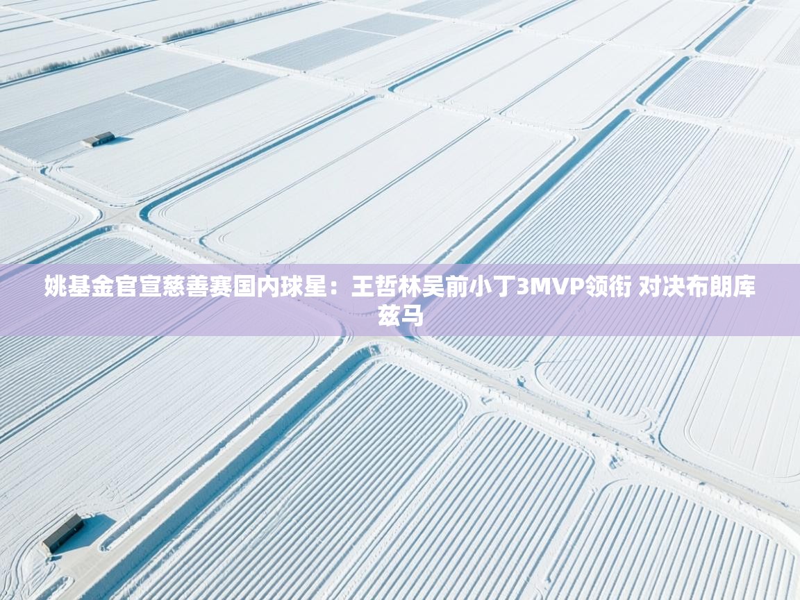 开云数据-姚基金官宣慈善赛国内球星：王哲林吴前小丁3MVP领衔 对决布朗库兹马  第1张