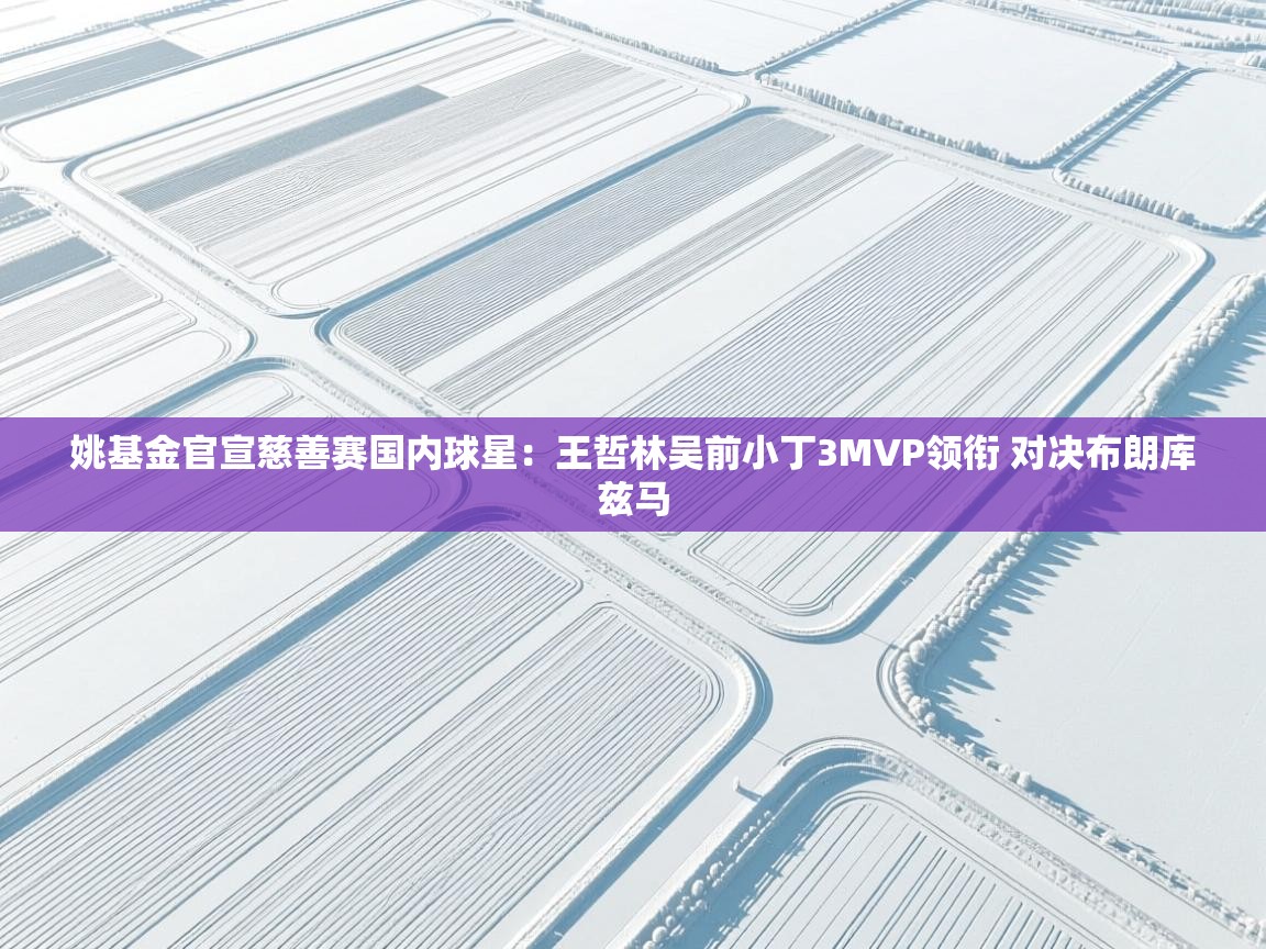 开云数据-姚基金官宣慈善赛国内球星：王哲林吴前小丁3MVP领衔 对决布朗库兹马  第3张