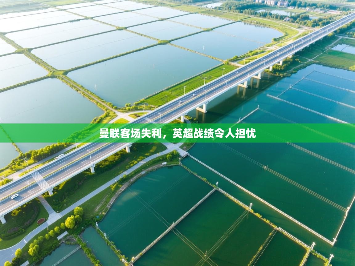 -曼联客场失利,英超战绩令人担忧 第3张