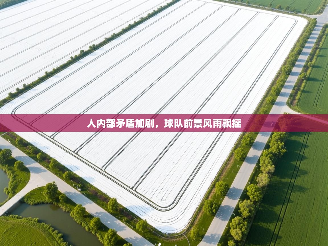 开云体育app评价-人内部矛盾加剧，球队前景风雨飘摇  第3张