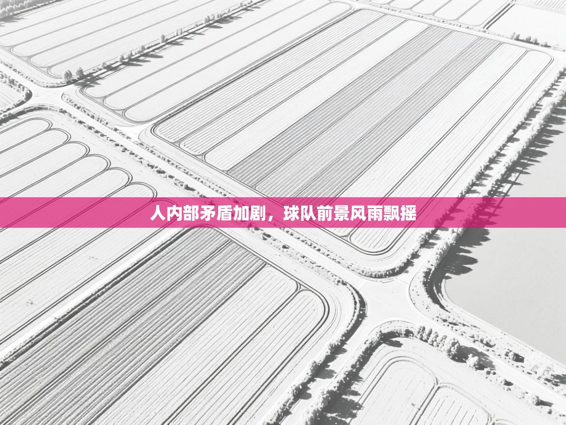 开云体育app评价-人内部矛盾加剧，球队前景风雨飘摇  第4张