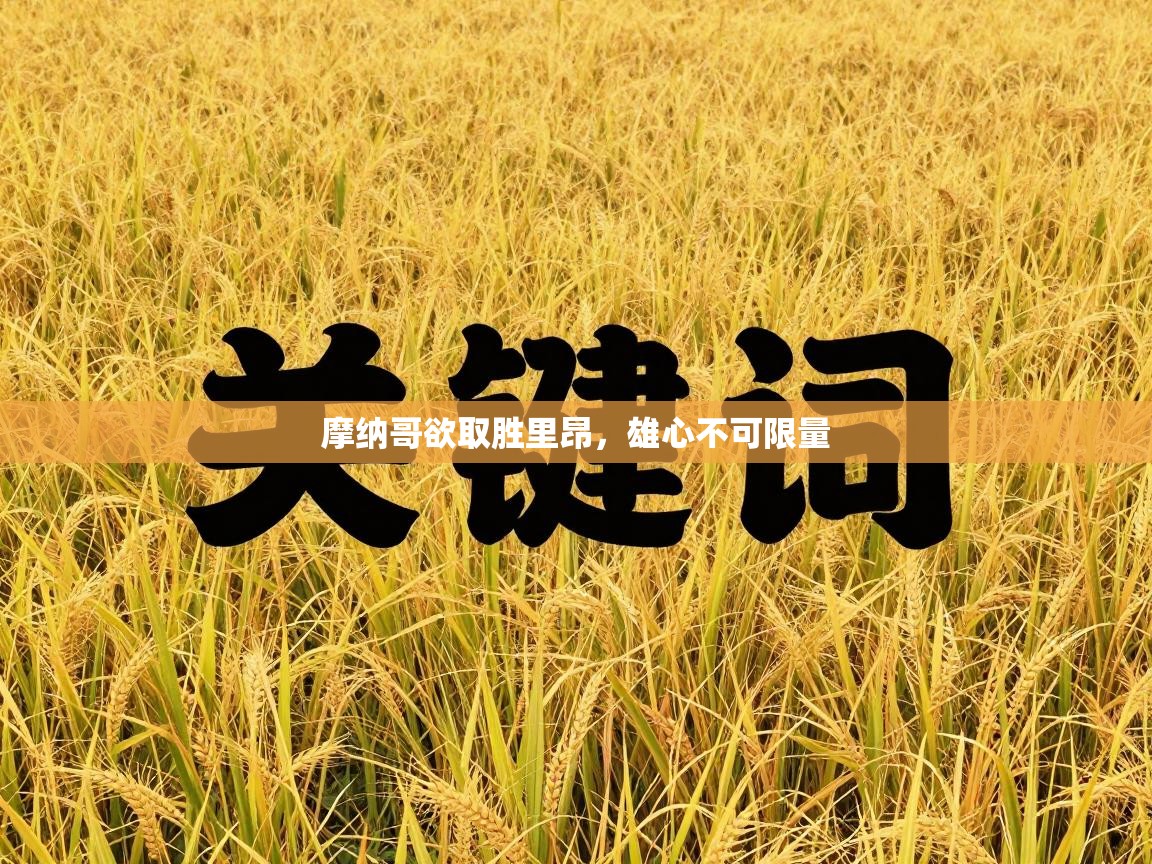 云开体育官网登录入口手机版-摩纳哥欲取胜里昂,雄心不可限量 第4张